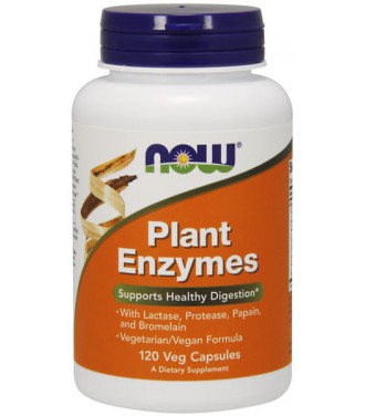 NOW PLANT ENZYMES  120 VCAPS