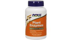 NOW PLANT ENZYMES  120 VCAPS