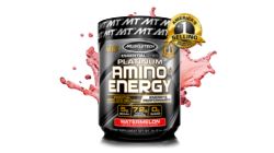 Muscletech Platinum Amino Energy 300g